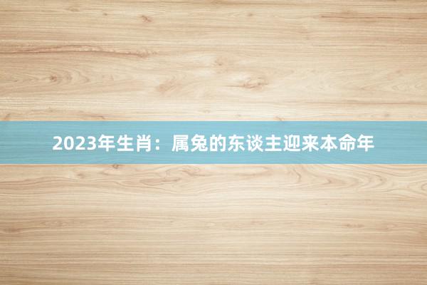 2023年生肖：属兔的东谈主迎来本命年